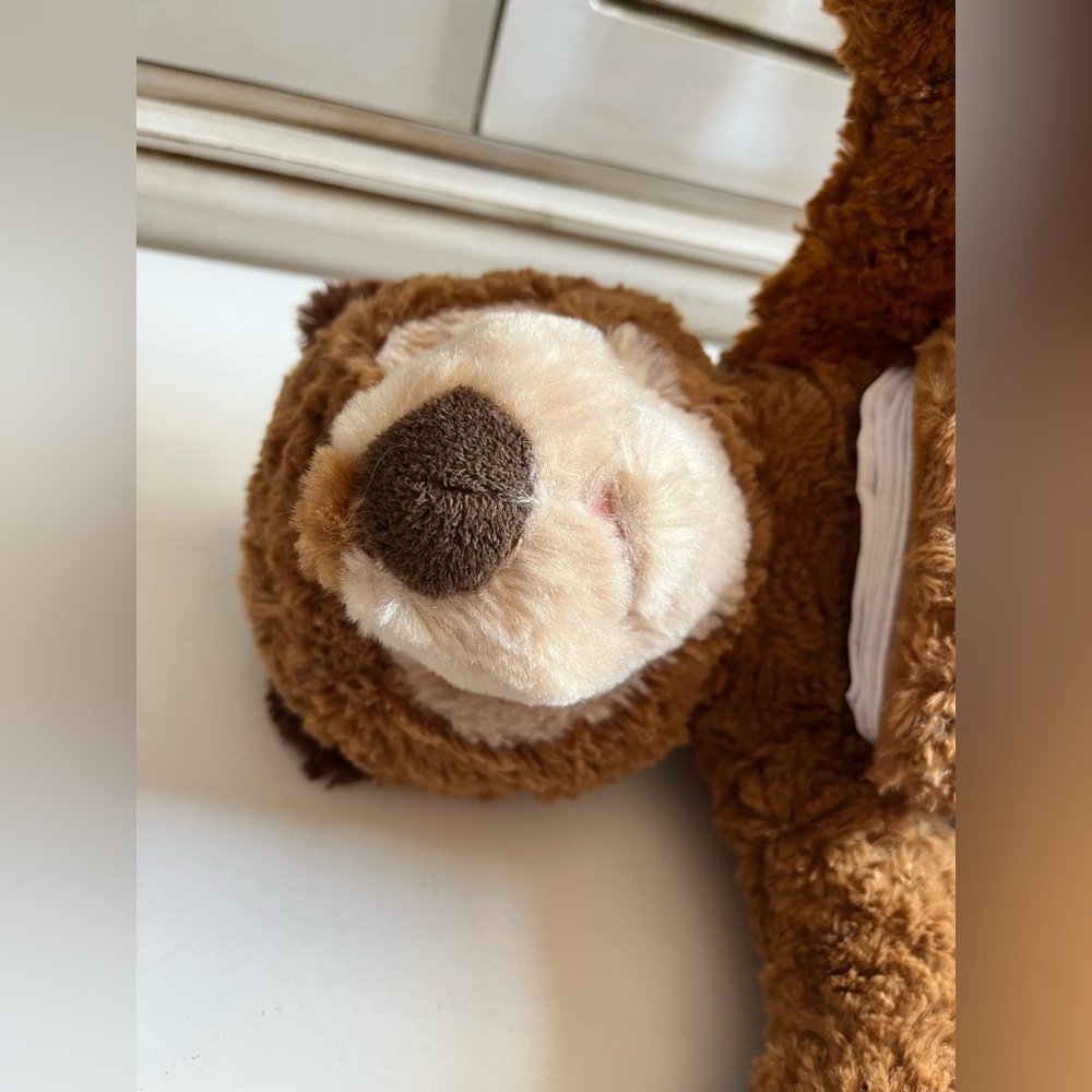 10" Eric Carle Zoobies Brown Bear “What do you see”Plush Story Book Stuffed Toy - Picture 5 of 11